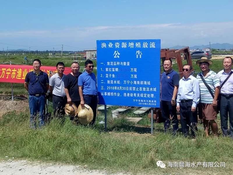 1555375501141235.jpg 海南晨海水产助力万宁小海海域增殖放流活动3.jpg