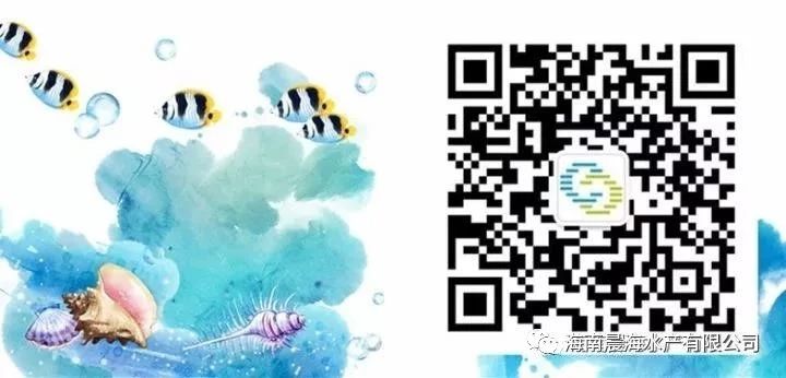 1597979616746940.jpg 图38.jpg