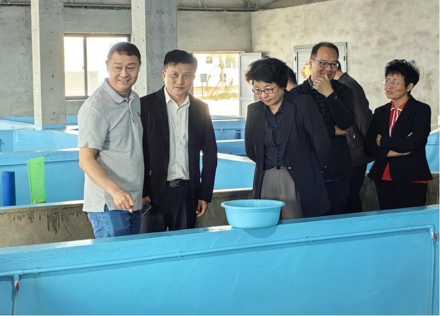 省政协肖莺子副主席率队到晨海种业调研