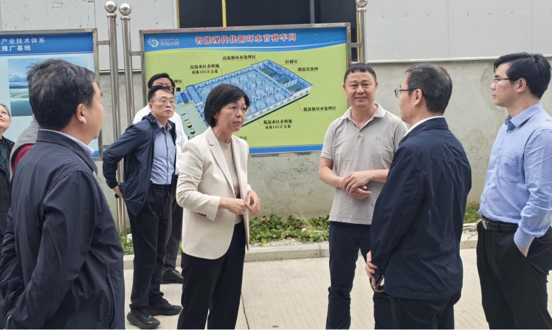 福建省政协副主席黄玲带队到晨海调研