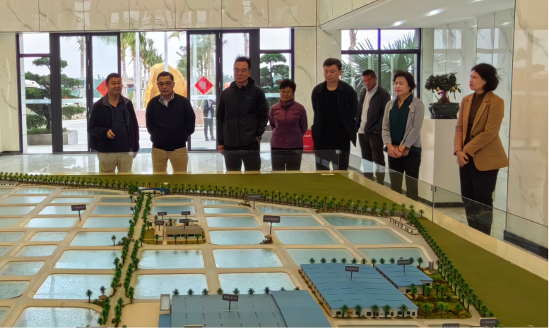 上海市政府党组成员彭沉雷一行考察晨海陵水种业基地