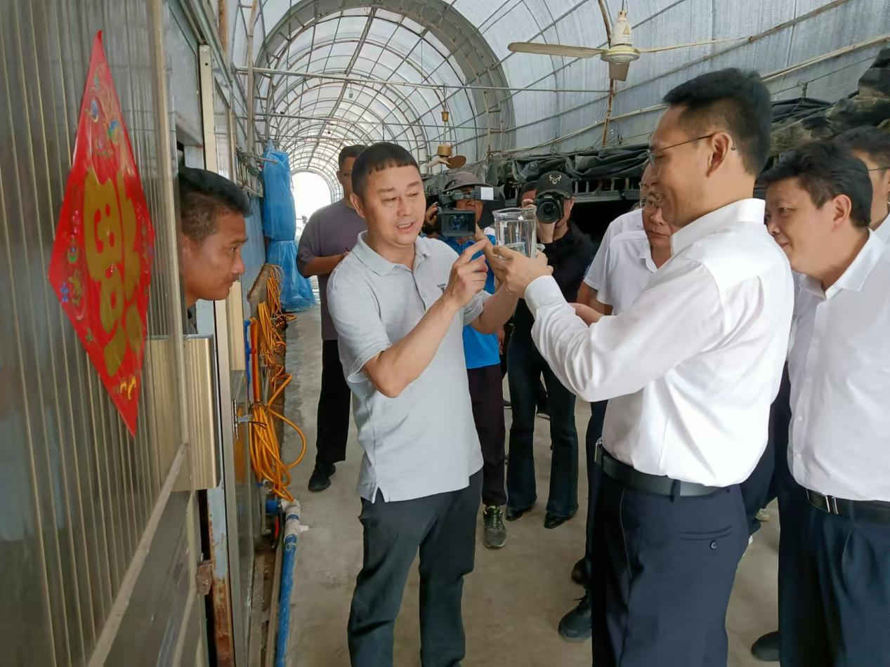 东方市委书记李爱华一行调研晨海水产东方感城基地